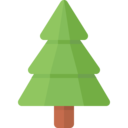 nature,trees,christmas,woods,forest,christmas tree